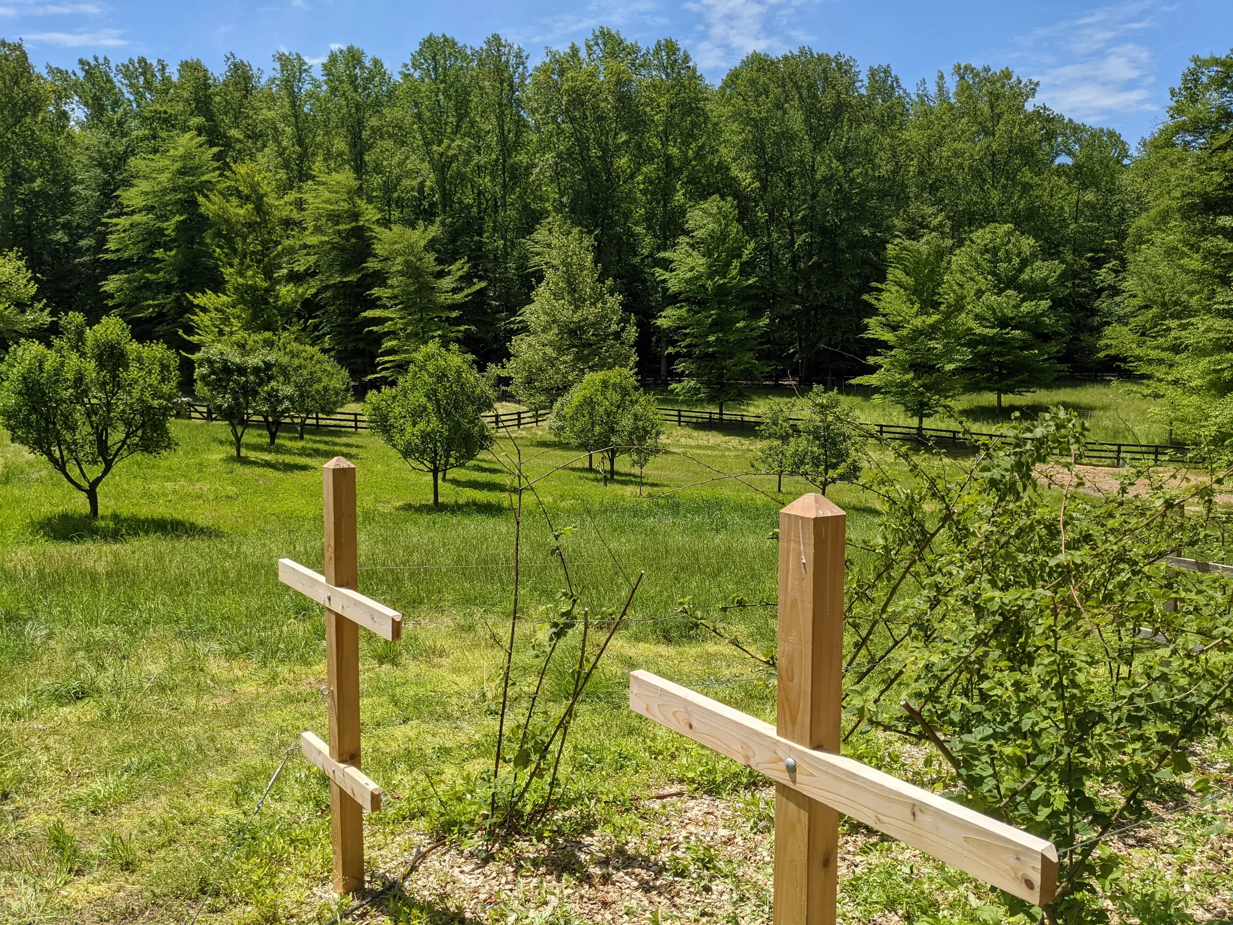 New Hampshire rural estate orchard